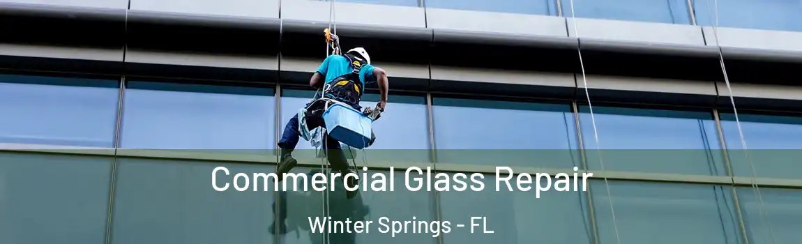  Commercial Glass Repair Winter Springs - FL