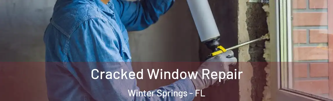  Cracked Window Repair Winter Springs - FL