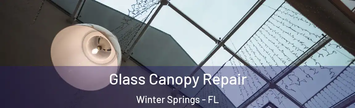  Glass Canopy Repair Winter Springs - FL