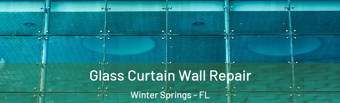  Glass Curtain Wall Repair Winter Springs - FL