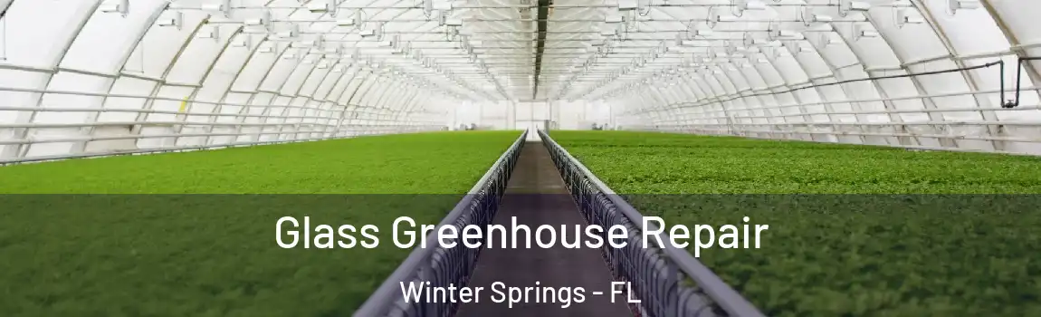  Glass Greenhouse Repair Winter Springs - FL