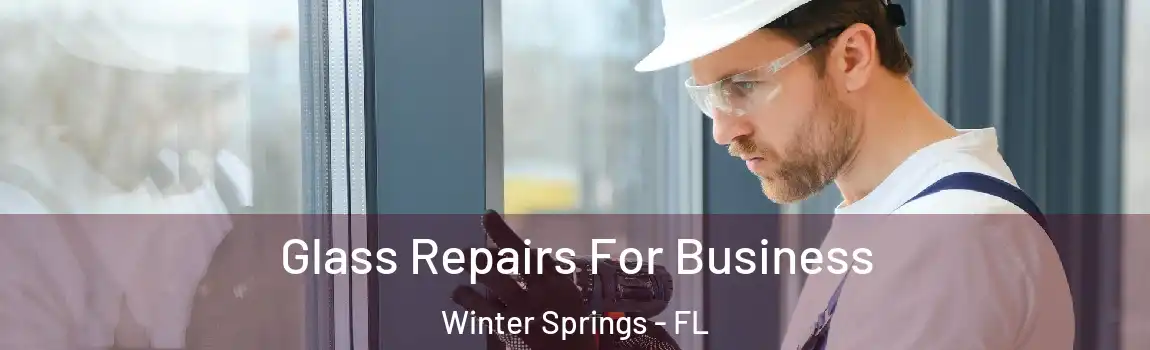  Glass Repairs For Business Winter Springs - FL
