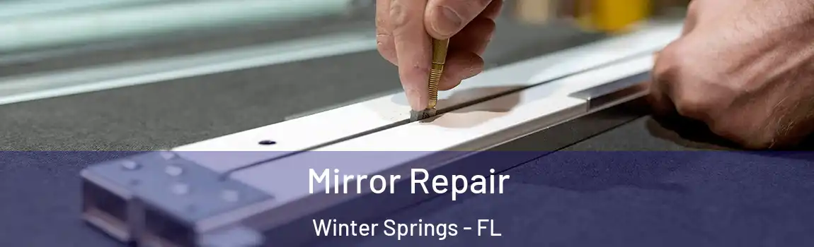  Mirror Repair Winter Springs - FL