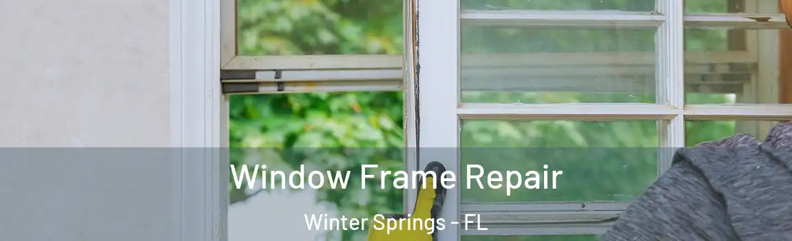  Window Frame Repair Winter Springs - FL