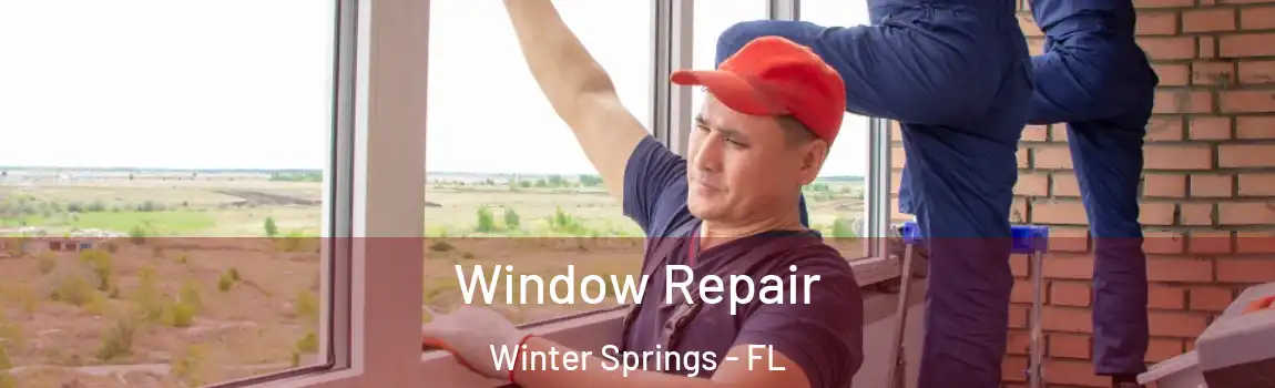  Window Repair Winter Springs - FL