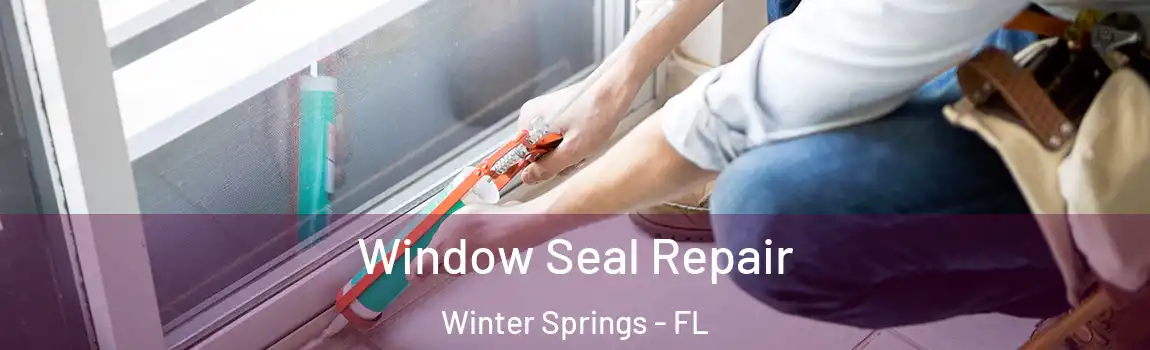  Window Seal Repair Winter Springs - FL